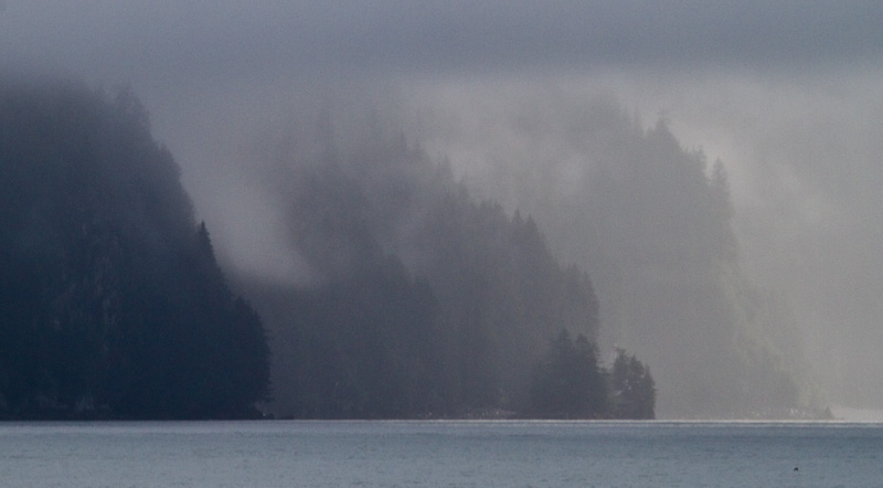 Headlands In Mist